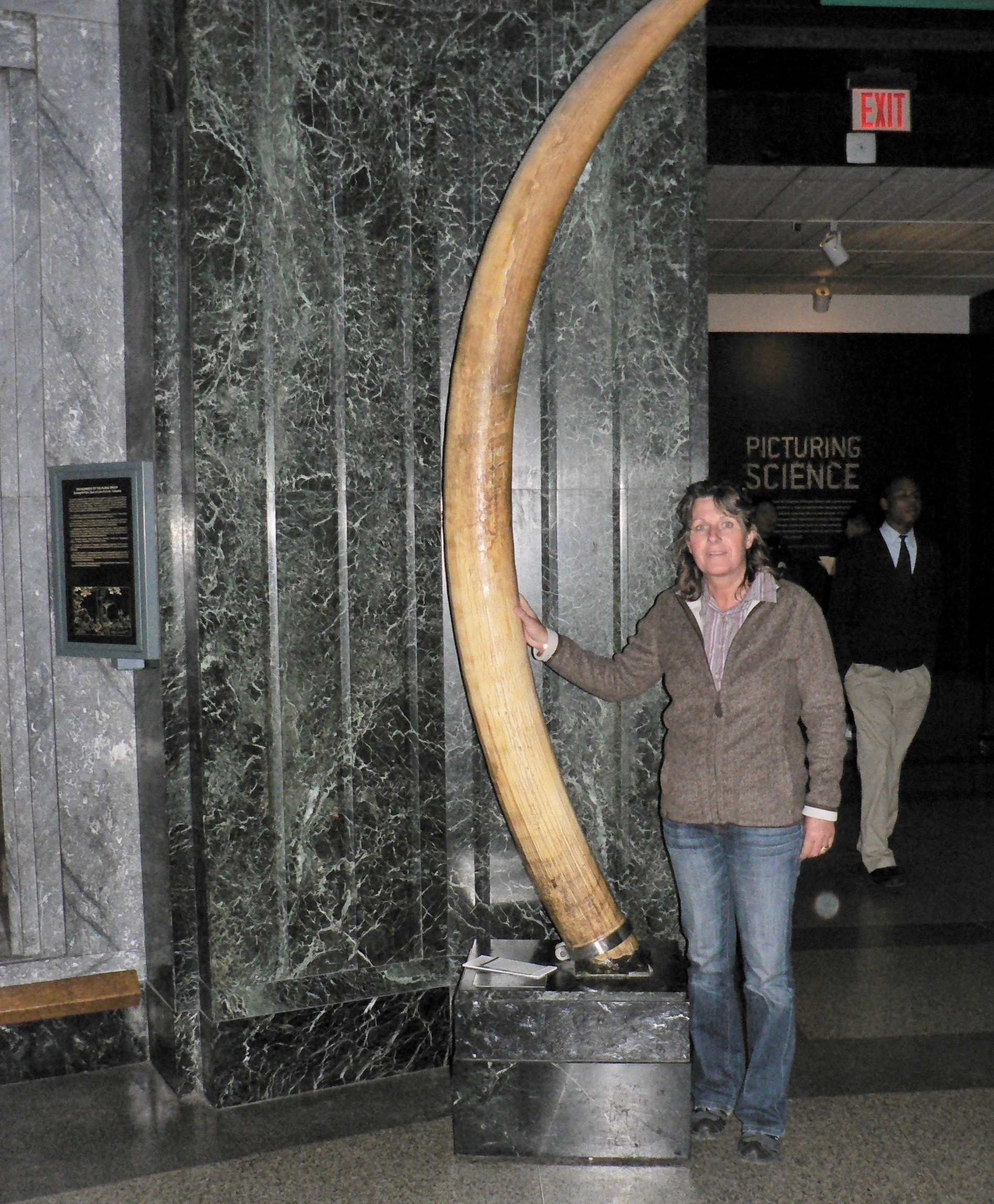 Bev Forbes with the largest elephant tusks to have come out of Kenya